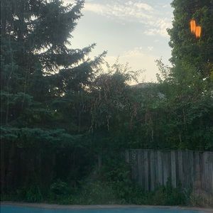 Meet your Posher, Jaide